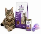 Pienso para gatos