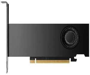 Imagen de NVIDIA RTX 2000 Ada 12 GB GDDR6